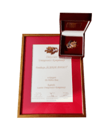 Laur umiejętności i kompetencji